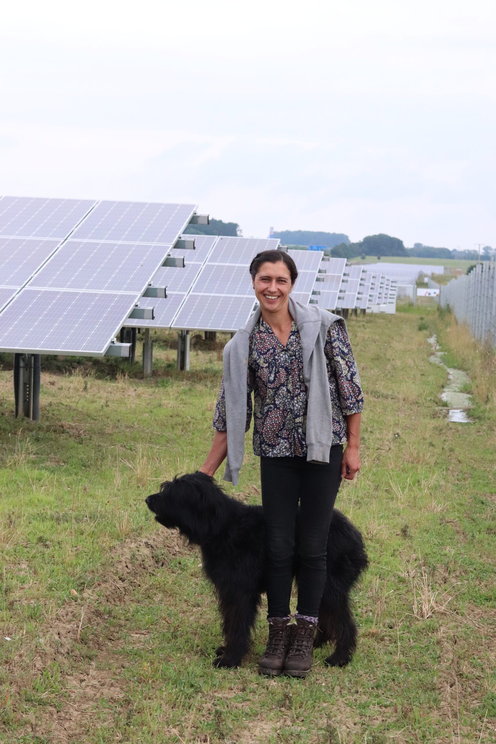 Mehr als Sonnenenergie – Solarkraftwerke als Weidefläche für Schafe